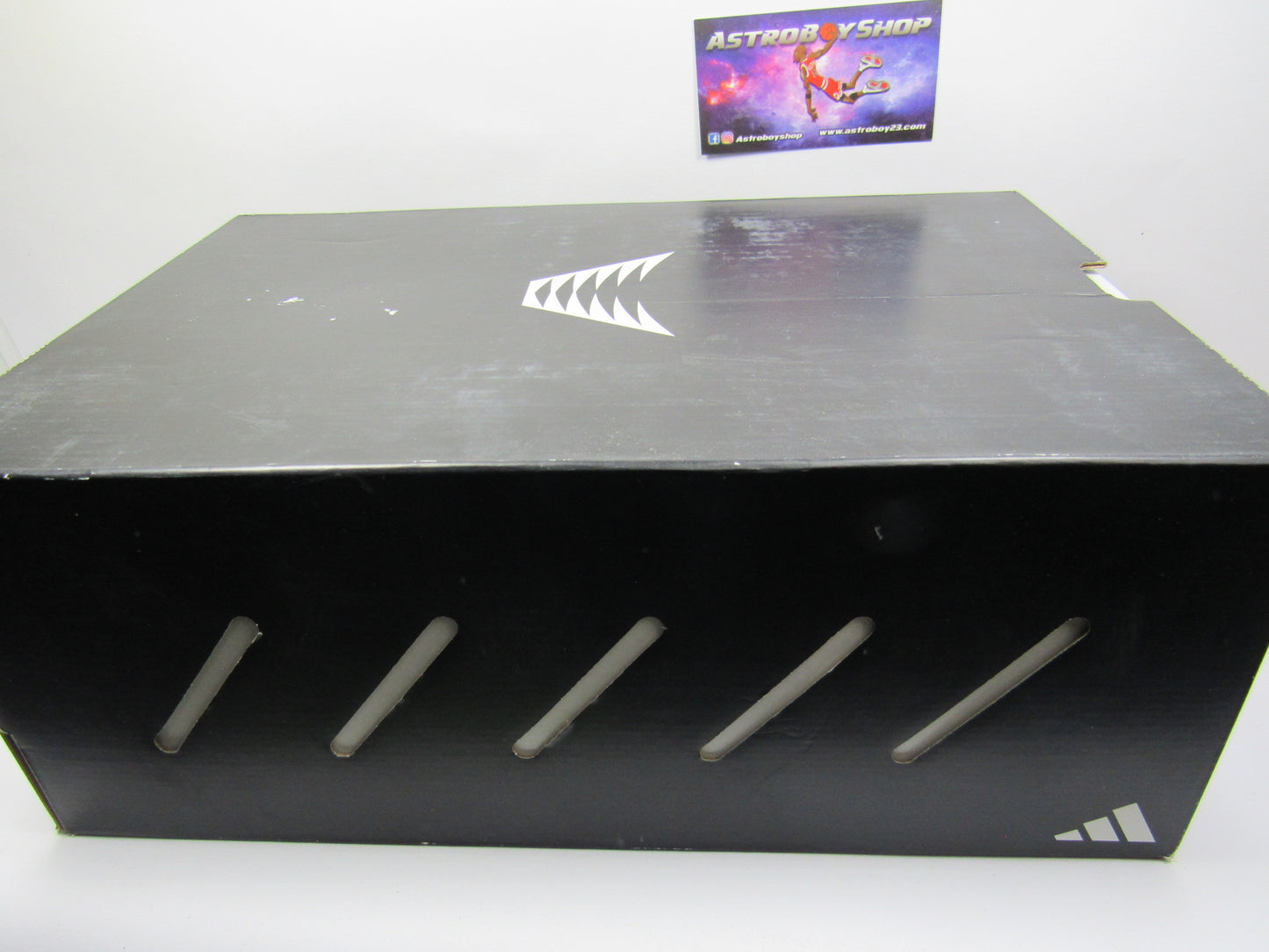 ANTONHY EDWARDS AE1 BRED BULLDOGS KIDS EN CAJA