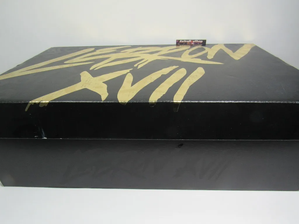 LEBRON JAMES 17 LOW "BLACK-COLORS" EN CAJA MODELO REDUCIDO