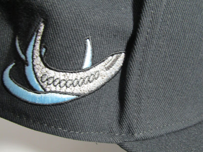 GORRA JORDAN PRO CAP EVOLUTION BLACK PLANA (L/XL)