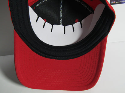 GORRA JORDAN RISE GYM RED CURVA (L/XL)