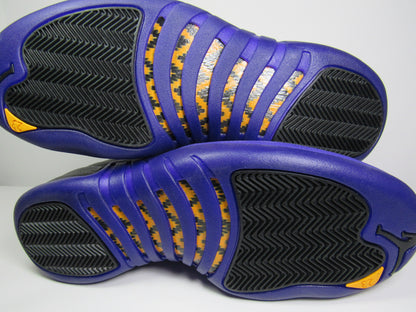 JORDAN 12 FIELD PURPLE EN CAJA