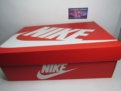 NIKE DUNK LOW MIAMI DOLPHINS EN CAJA
