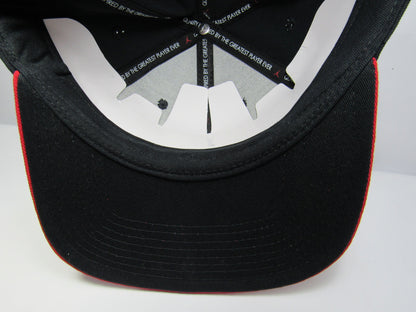 GORRA JORDAN PLANA BULLS CON HOLOGRAMA UNITALLA
