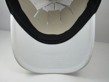 GORRA JORDAN CURVA METAL SILVER WHITE (M/L)