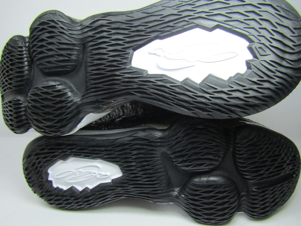 LEBRON XVII IN THE ARENA EDITION EN CAJA