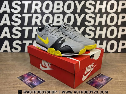 NIKE CROSS TRAINER LOW SMOKE GREY EN CAJA