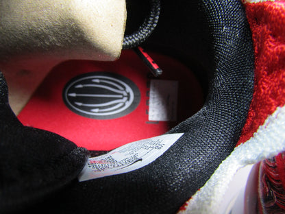 LEBRON 17 UPTEMPO EDITION EN CAJA