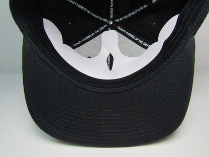 GORRA AIR JORDAN PRO CAP BLACK PLANA UNITALLA TOALLA