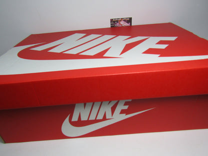 NIKE AIR MAX INFINITY EN CAJA