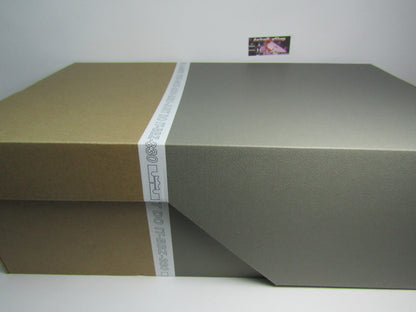 LEBRON 18 JAMES GANG EN CAJA