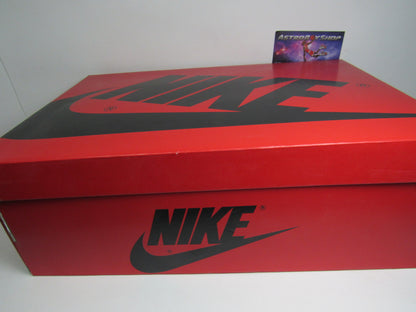 JORDAN 1 HIGH ELEMENT GORE TEX LIGHT BONE EN CAJA