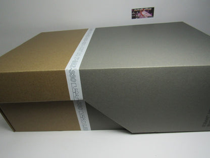 LEBRON 18 LOW COYOTE VS ROADRUNNER EN CAJA