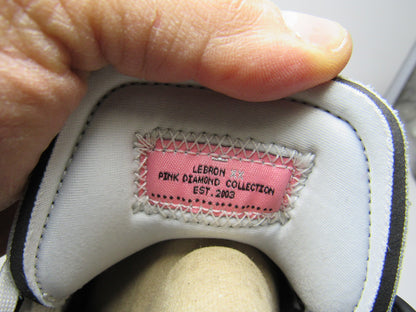 LEBRON 20 "DEBUT" EN CAJA