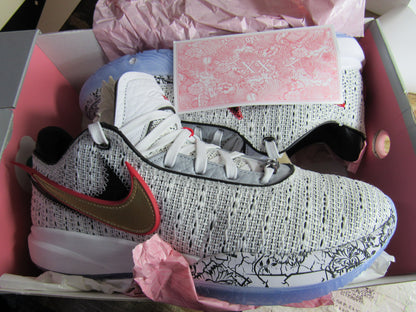 LEBRON 20 "DEBUT" EN CAJA