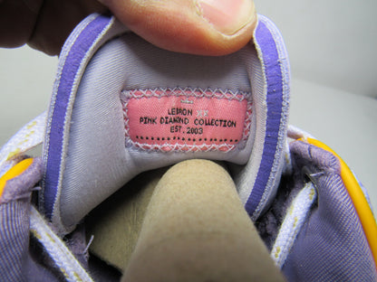 LEBRON 20 VIOLET FROST EN CAJA