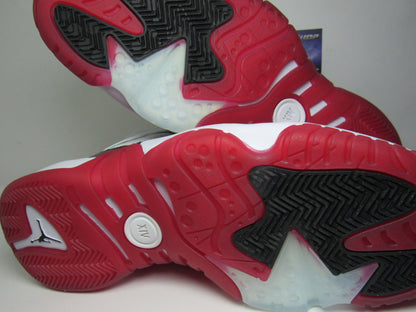 JORDAN TWO TREY "BRED CONCORD" EN CAJA