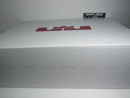 LEBRON 9 WATCH THE THRONE EDICION LIMITADA