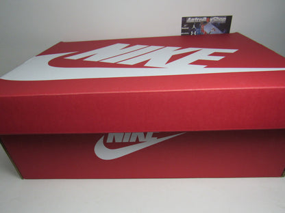 NIKE AIR RAID RAYGUNS EDITION