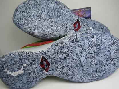 LEBRON 20 GRINCH LIMITED EDITION EN CAJA