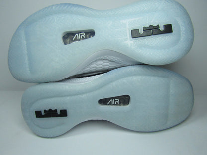 LEBRON WITNESS 3 PREMIUM CONCORD EN CAJA