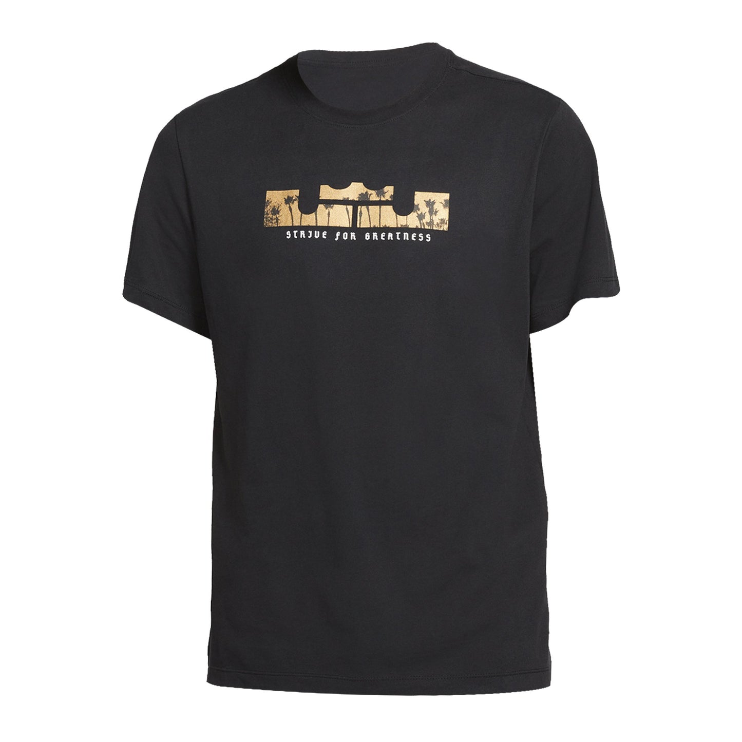 PLAYERA LEBRON DRI-FIT STRIVE FOR GRETANESS