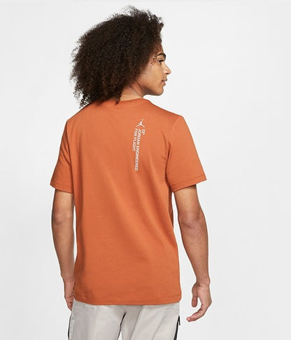 PLAYERA JORDAN ENGINEERED 23 BROWN REFLECTIVE